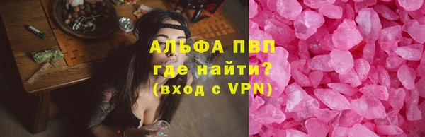 гашик Арсеньев