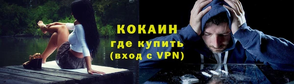 гашик Арсеньев
