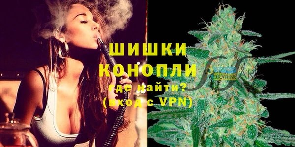 гашик Арсеньев