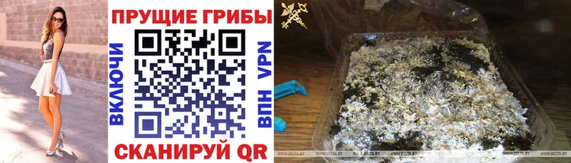 площадка клад  ОМГ ОМГ маркетплейс  Галлюциногенные грибы Cubensis  Валдай  сколько стоит 
